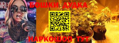 дмт Обь