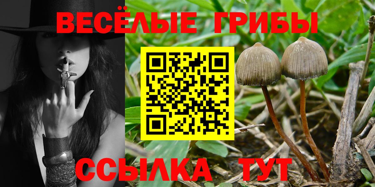 Анапа  Галлюциногенные грибы мухоморы  Вход с VPN 